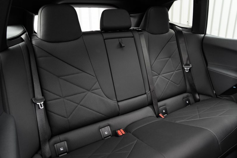 BMW iX xDrive50 523ch Limited Edition pro